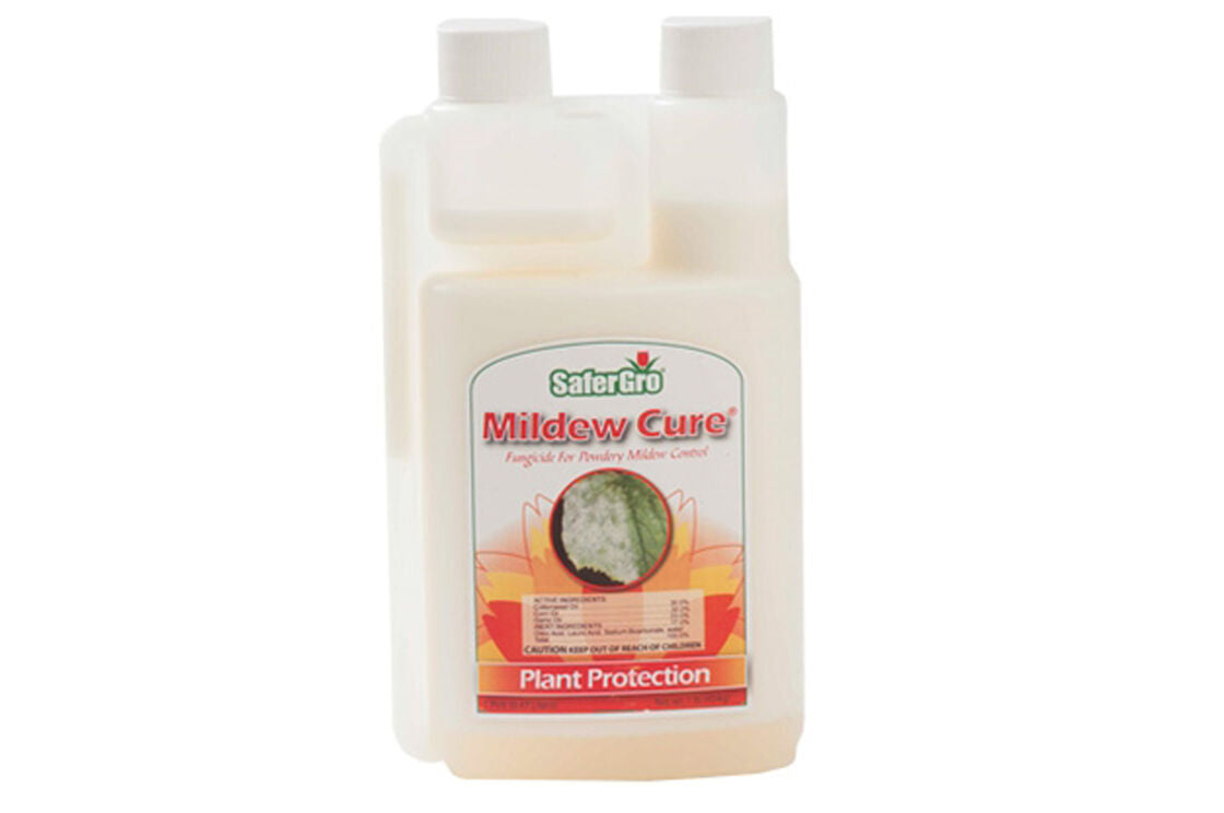 Safer Mildew Cure RTU and Concentrate